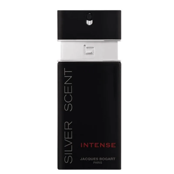 SILVER SCENT INTENSE 100ml