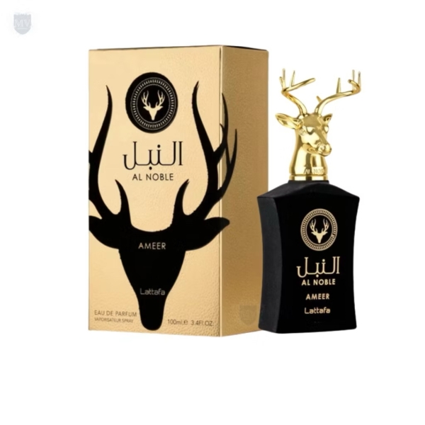 AMEER 100ml - Imagem 2