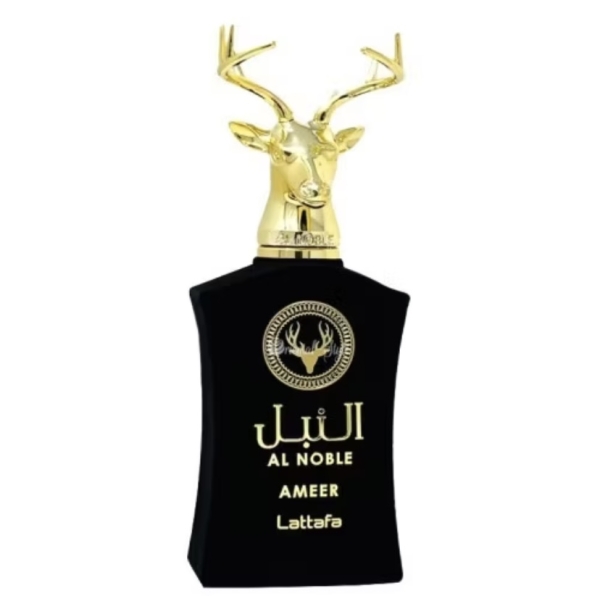 AMEER 100ml